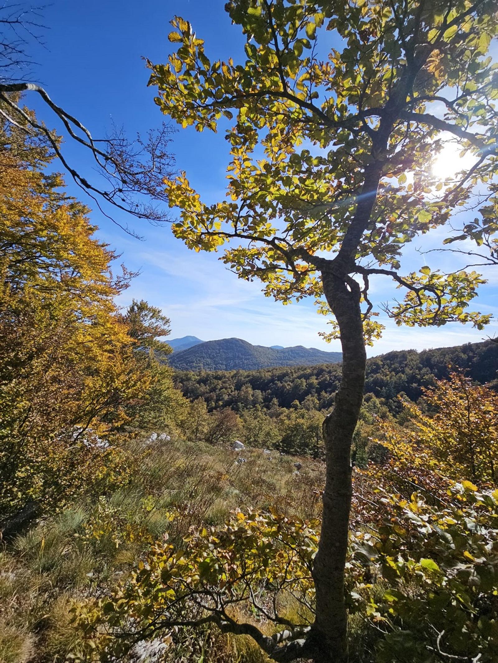 PD Bistra – novi pohod na Velebit - fotografija 1