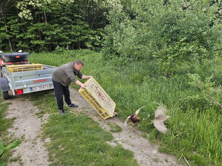 Lovačko društvo Šljuka – stalna briga o divljači - fotografija 2