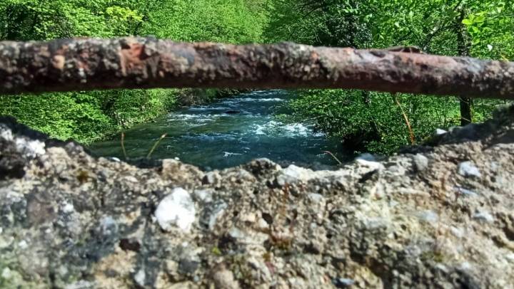 PD Bistra – travanj zaključili u Gorskom kotaru - fotografija 4