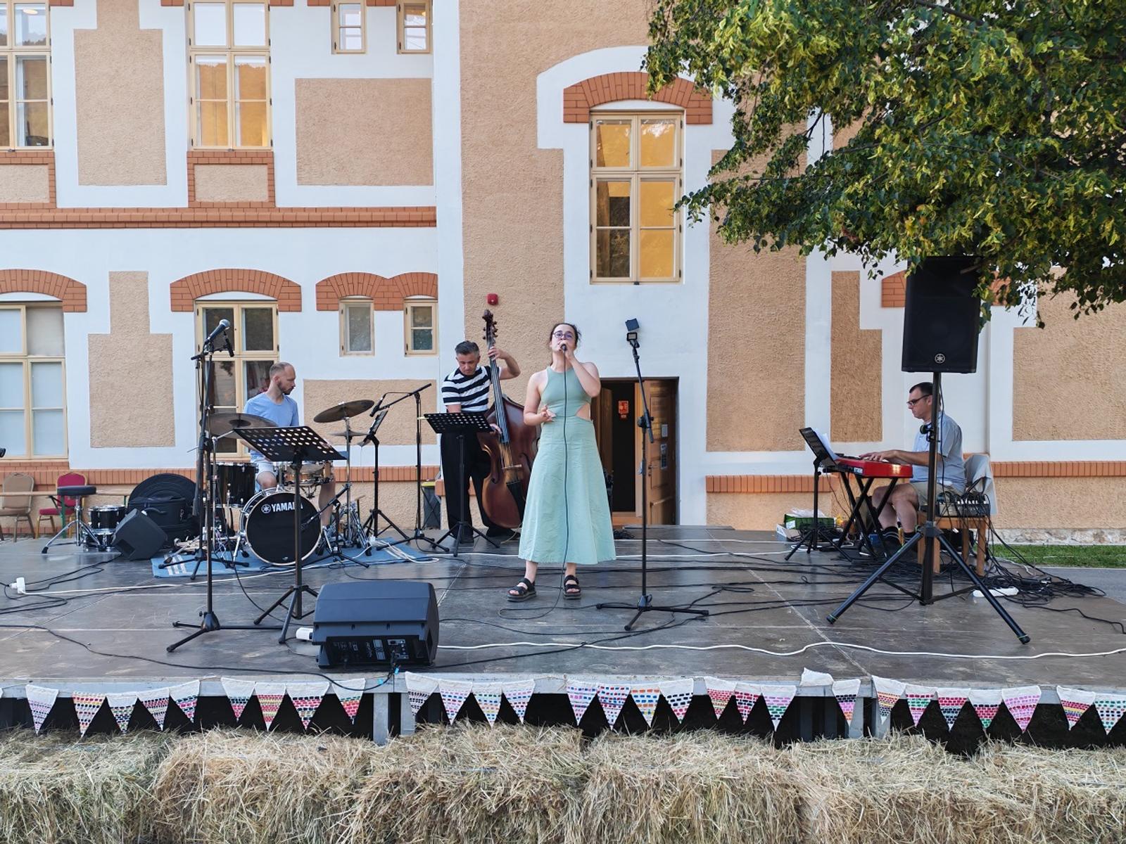 Zvuk Bistre – drugi dan u znaku glazbene i kazališne umjetnosti - fotografija 6