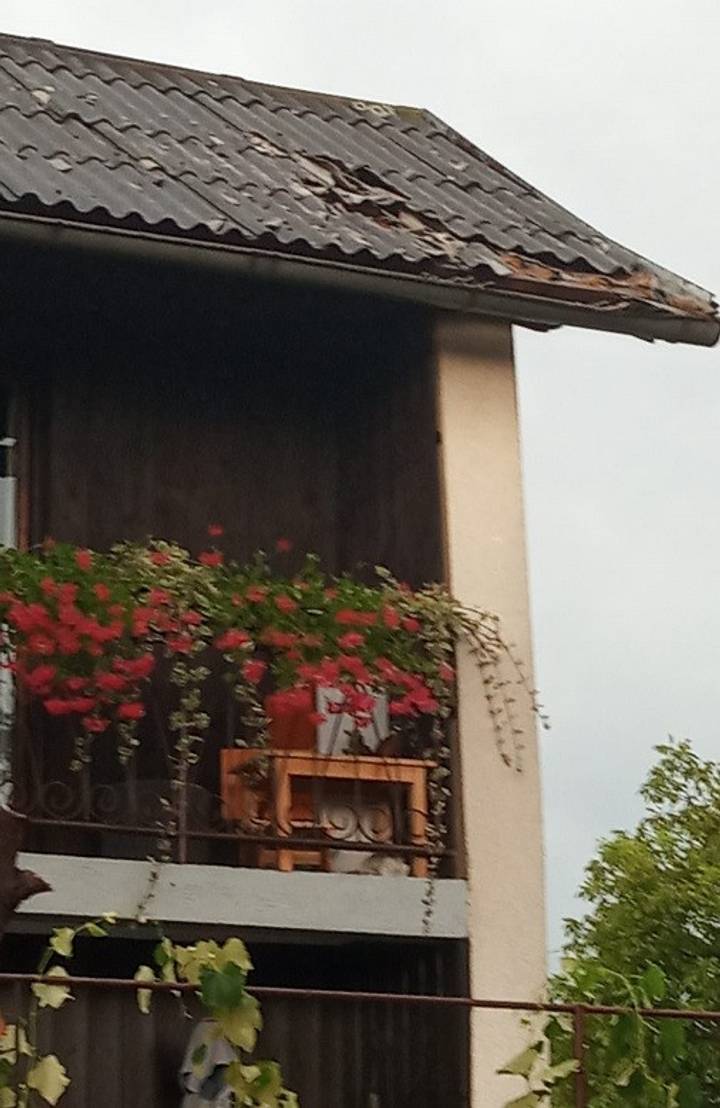 Priroda uzvraća udarac - fotografija 6