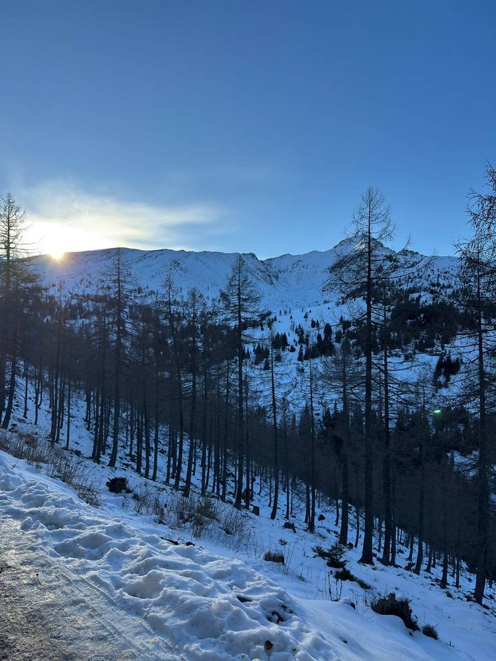 PD Bistra – planinarili Austrijom - fotografija 4