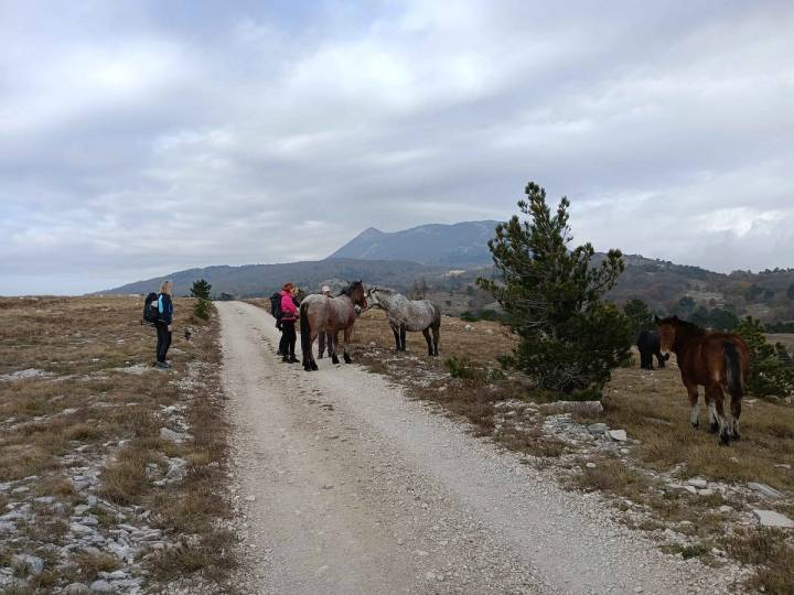 PD Bistra Od Bistre do Istre - Kremenjak (Učka) - fotografija 1