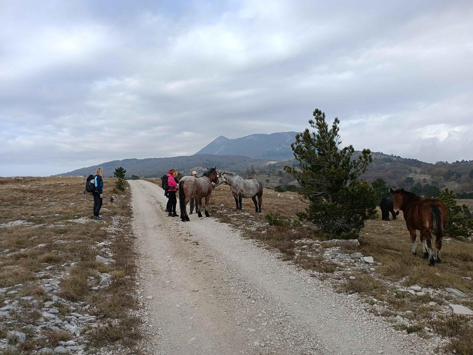 PD Bistra Od Bistre do Istre - Kremenjak (Učka) - fotografija 1