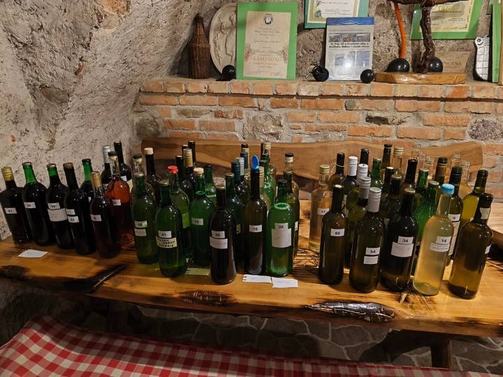 Udruga vinogradara – održali prvo kušanje vina - fotografija 3
