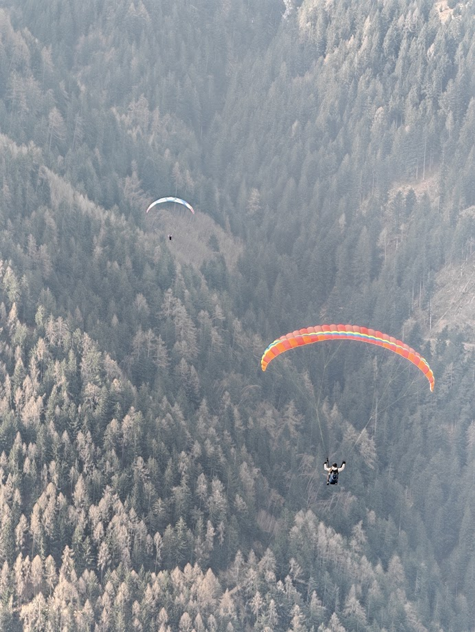Parajedriličarstvo – u Italiji održan Svjetski kup - fotografija 3