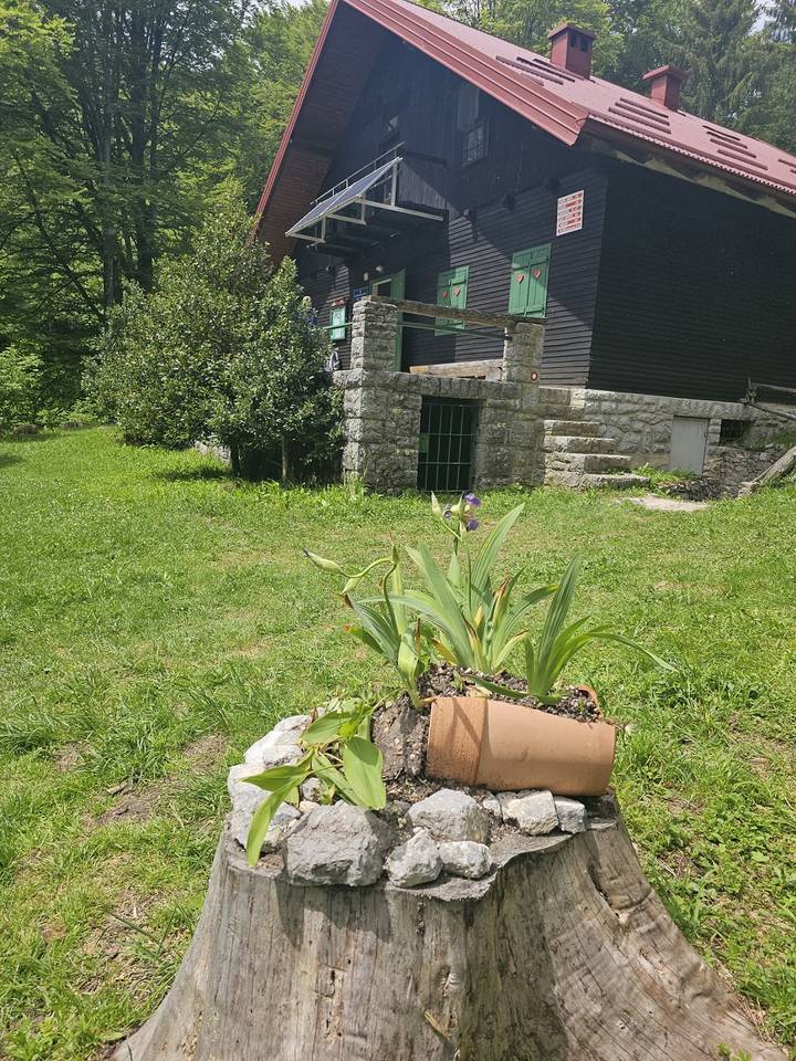 PD Bistra – uživali u proljetnom izdanju Žumberka - fotografija 4