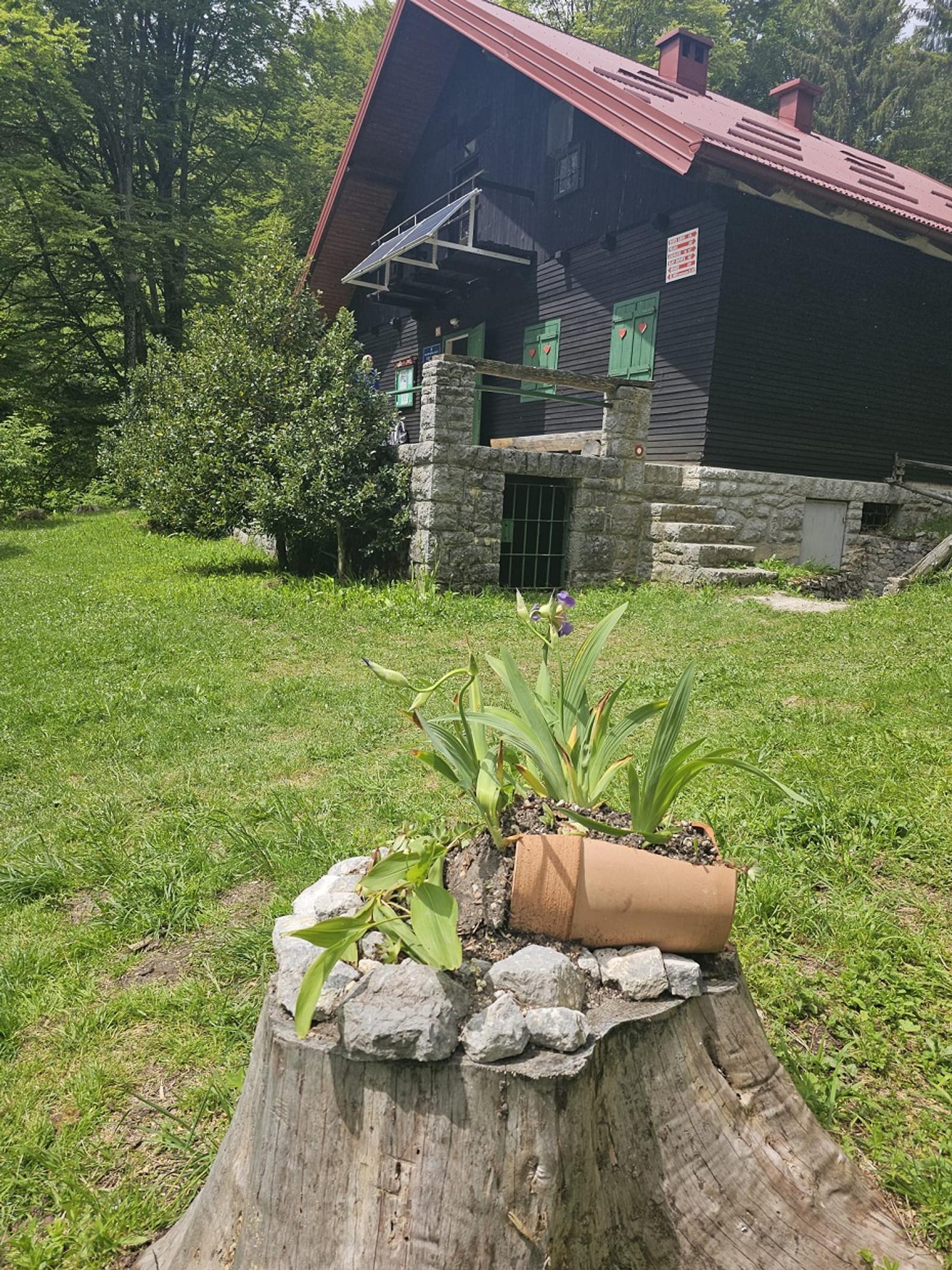 PD Bistra – uživali u proljetnom izdanju Žumberka - fotografija 4