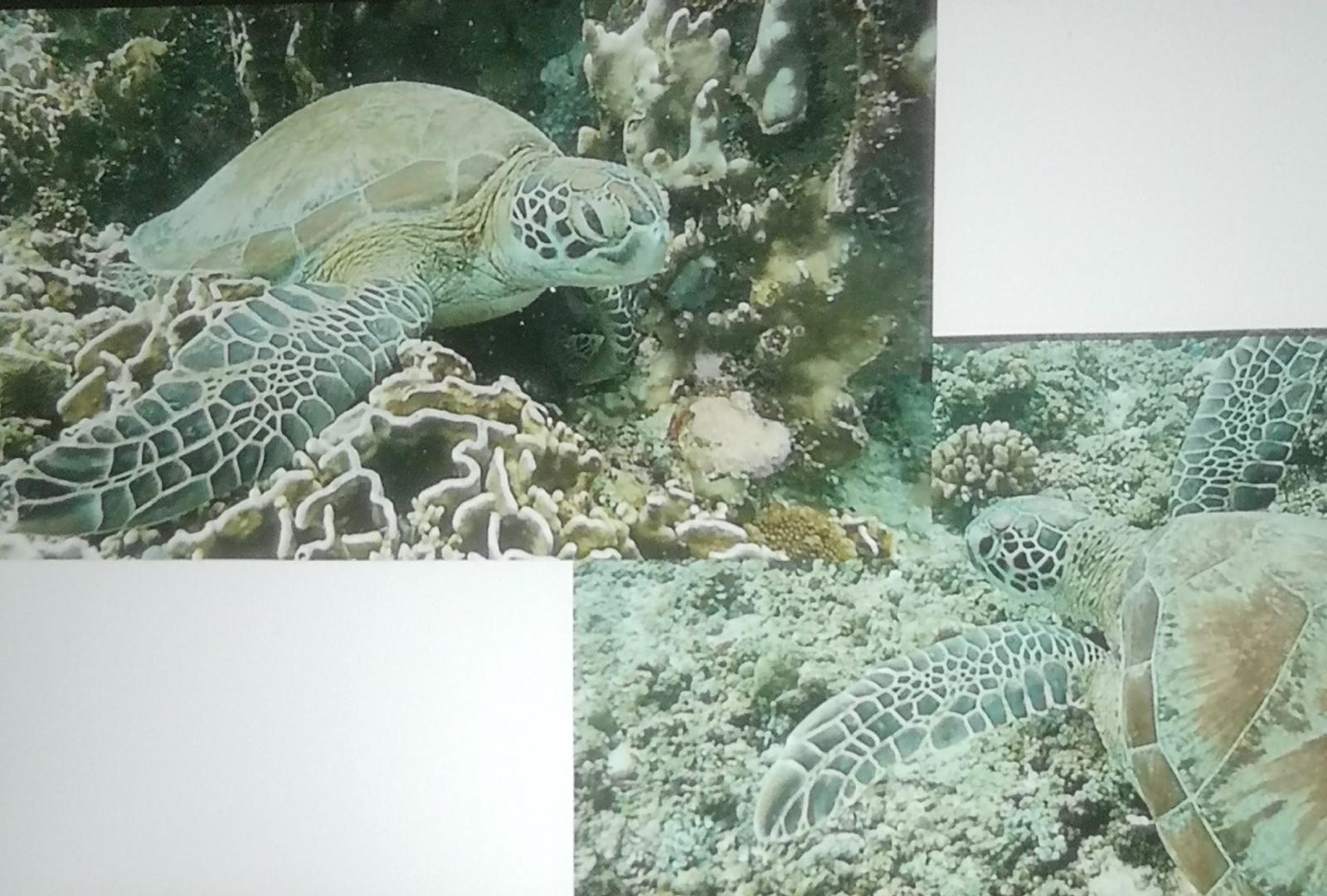 Općinska knjižnica Bistra – održano predavanje o Indoneziji - fotografija 4