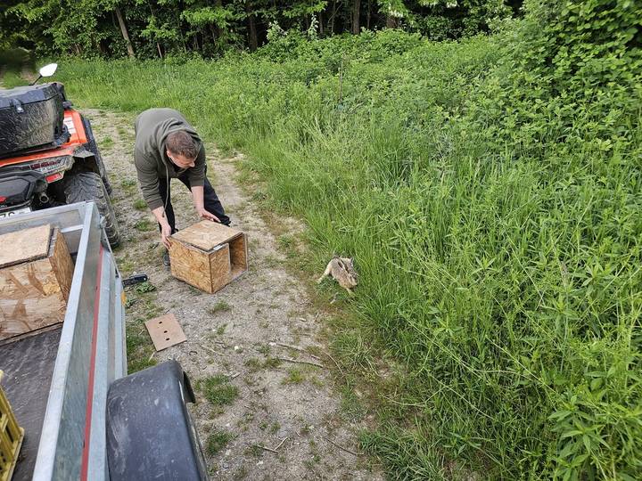 Lovačko društvo Šljuka – stalna briga o divljači - fotografija 3