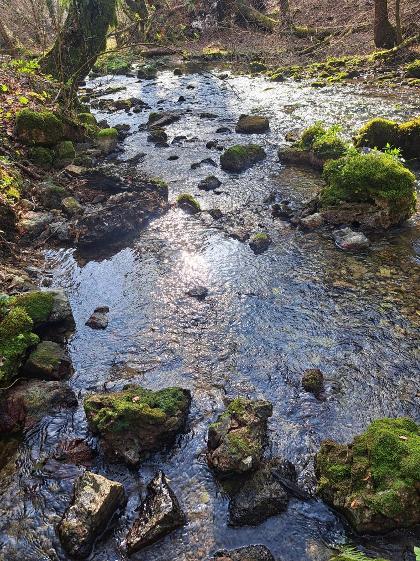 PD Bistra – novi susret sa Žumberkom – Samoborskim gorjem - fotografija 5