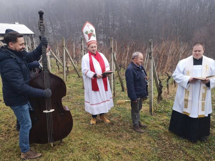 Bistranski vinogradari obilježili Vincekovo - fotografija 4