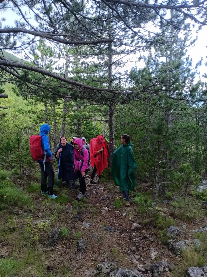 PD Bistra – krajem svibnja posjetili Dinaru - fotografija 1