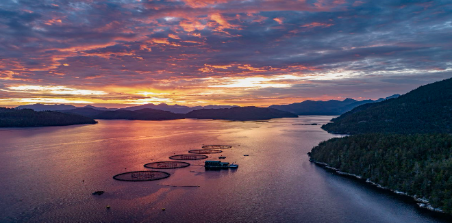 A salmon farm site on the British Columbia coast, with forested shoreline and working vessels nearby.