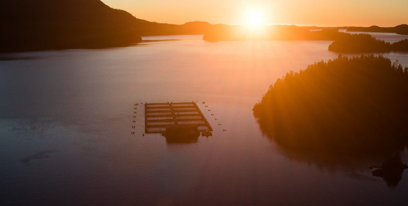 Aerial view of a salmon farm at sunset in a British Columbia coastal inlet