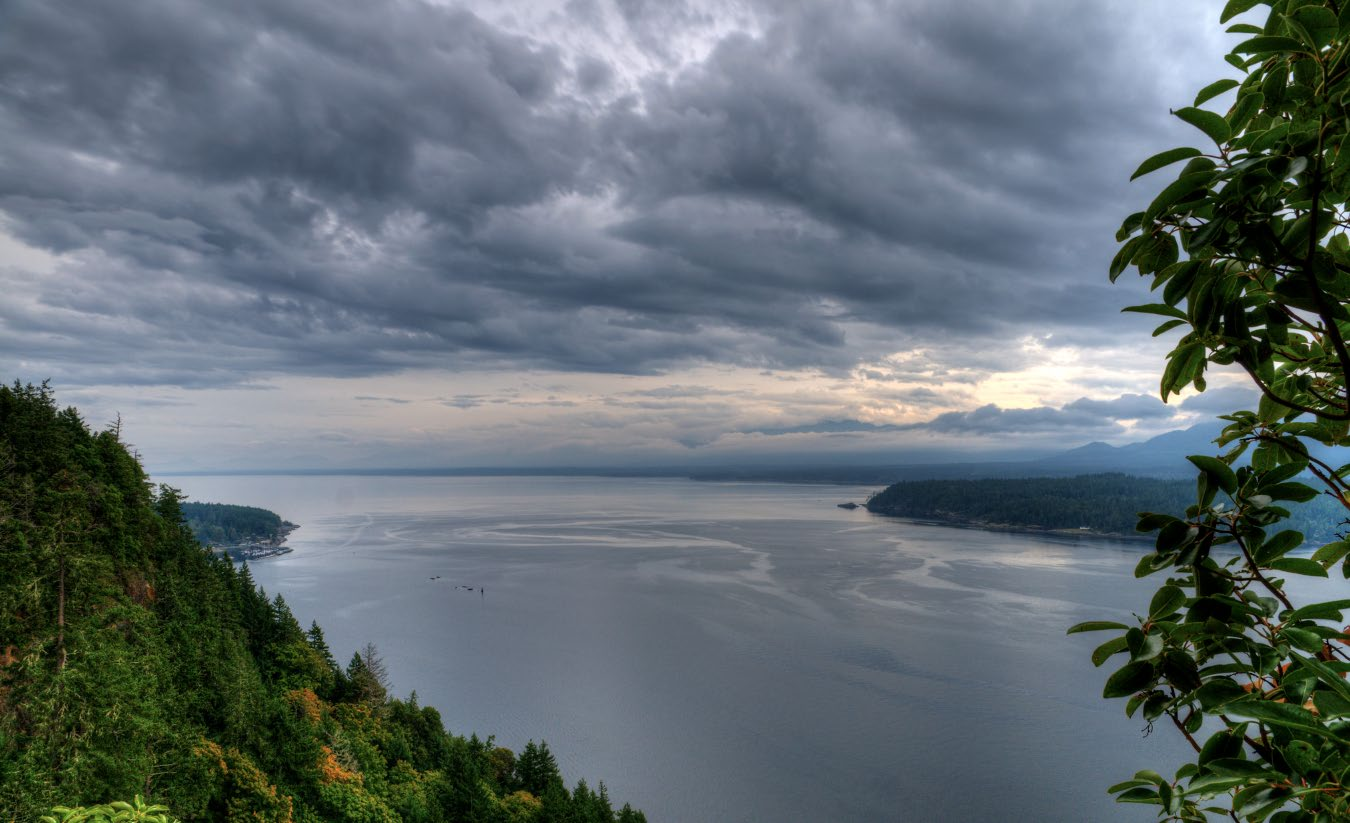 Aerial view of British Columbia's forested coastline and calm ocean waters