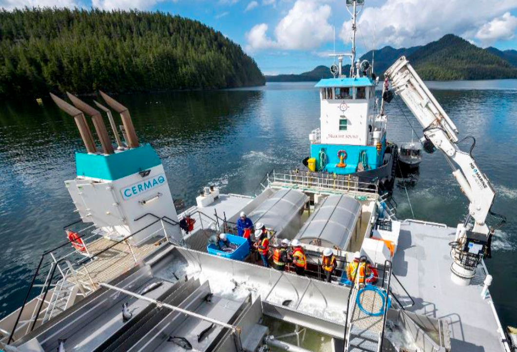 Sea lice treatment vessel operating on the B.C. coast with workers and equipment visible