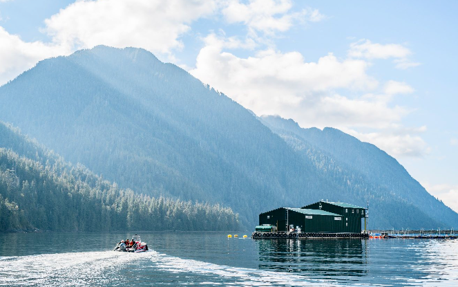 Crew members inspecting salmon farm net-pens on the B.C. coast