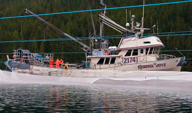 A harvest vessel and crew working with a seine net on the B.C. coast.