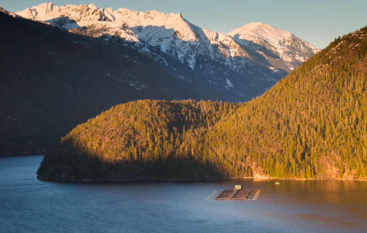 A calm coastal inlet in British Columbia at dusk, framed by forested mountains