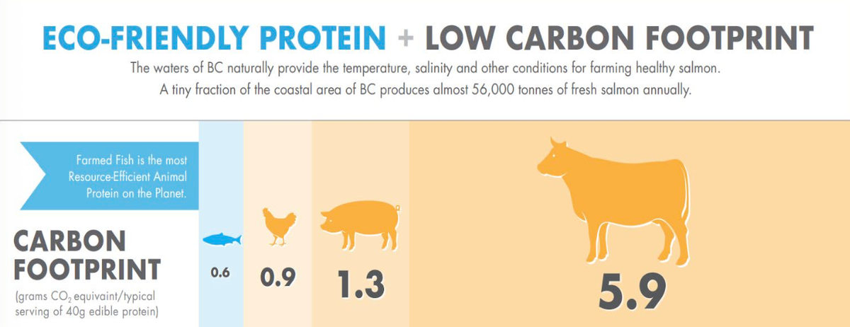 Comparison of carbon footprint per 40g serving: farmed salmon 0.6, chicken 0.9, pork 1.3, beef 5.9 grams CO2 equivalent
