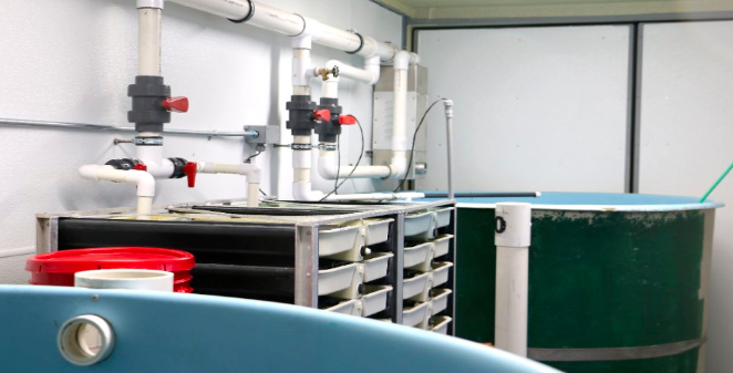 Hatchery-in-a-box equipment donated for community-led enhancement