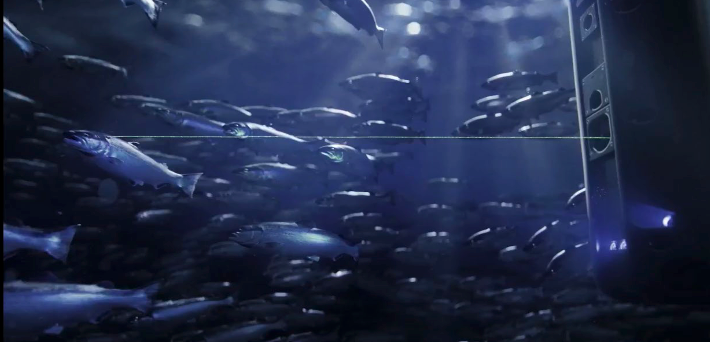 Underwater sensors and camera equipment on a B.C. salmon farm net pen