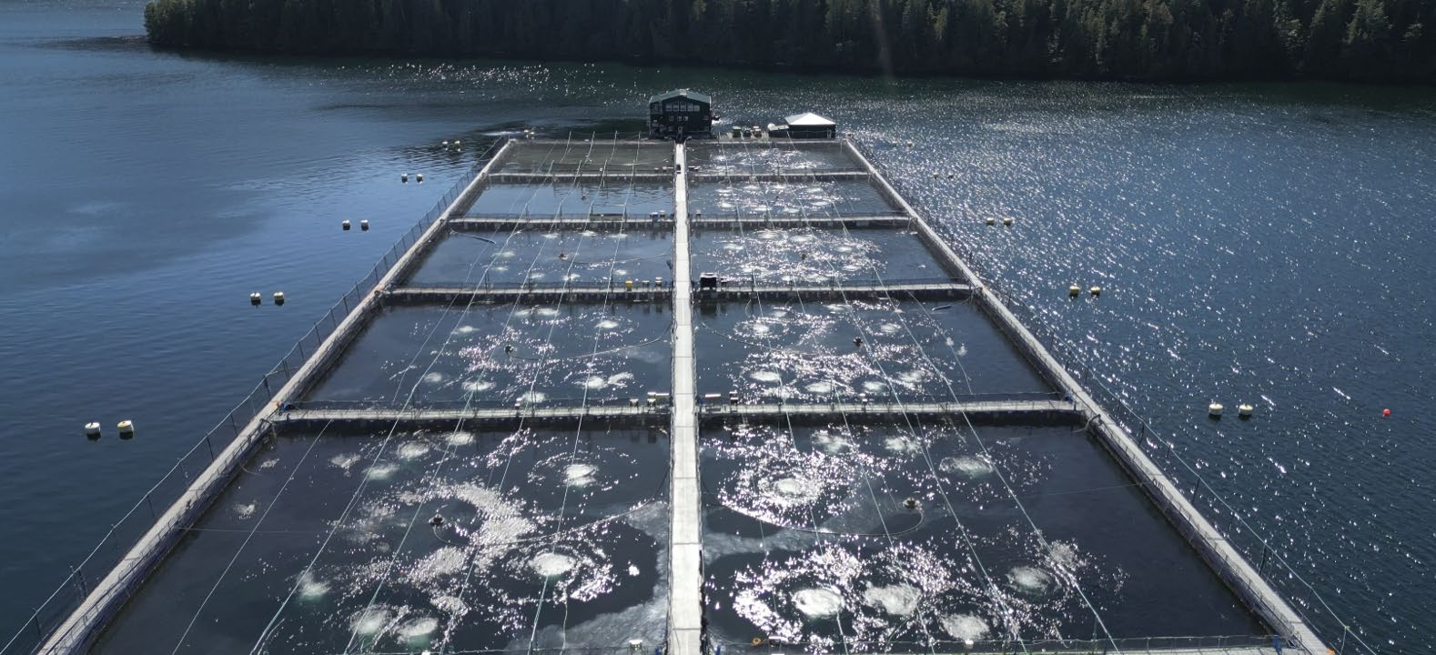 Aerial view of a modern salmon farm operating in a British Columbia coastal inlet