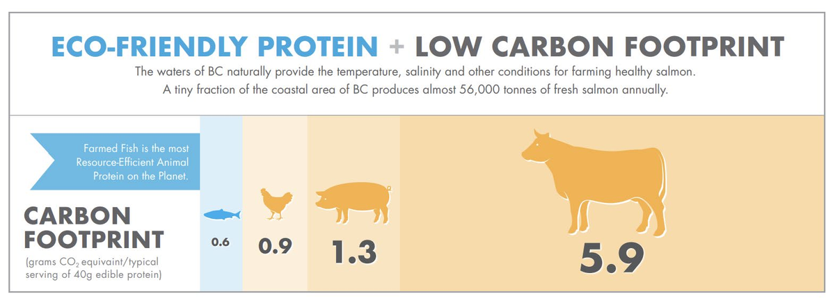 Carbon footprint comparison showing farmed salmon versus chicken, pork, and beef in grams CO2 equivalent per 40g serving