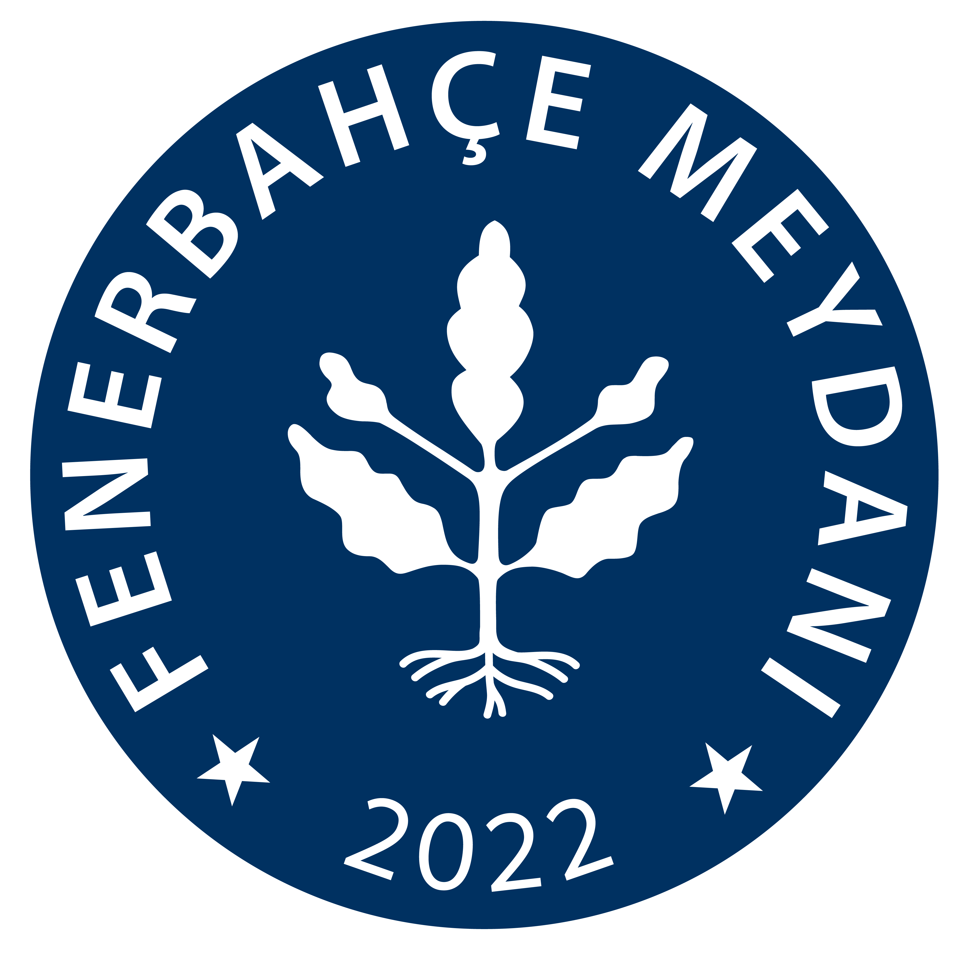 Fenerbahçe Meydanı, Önerileri