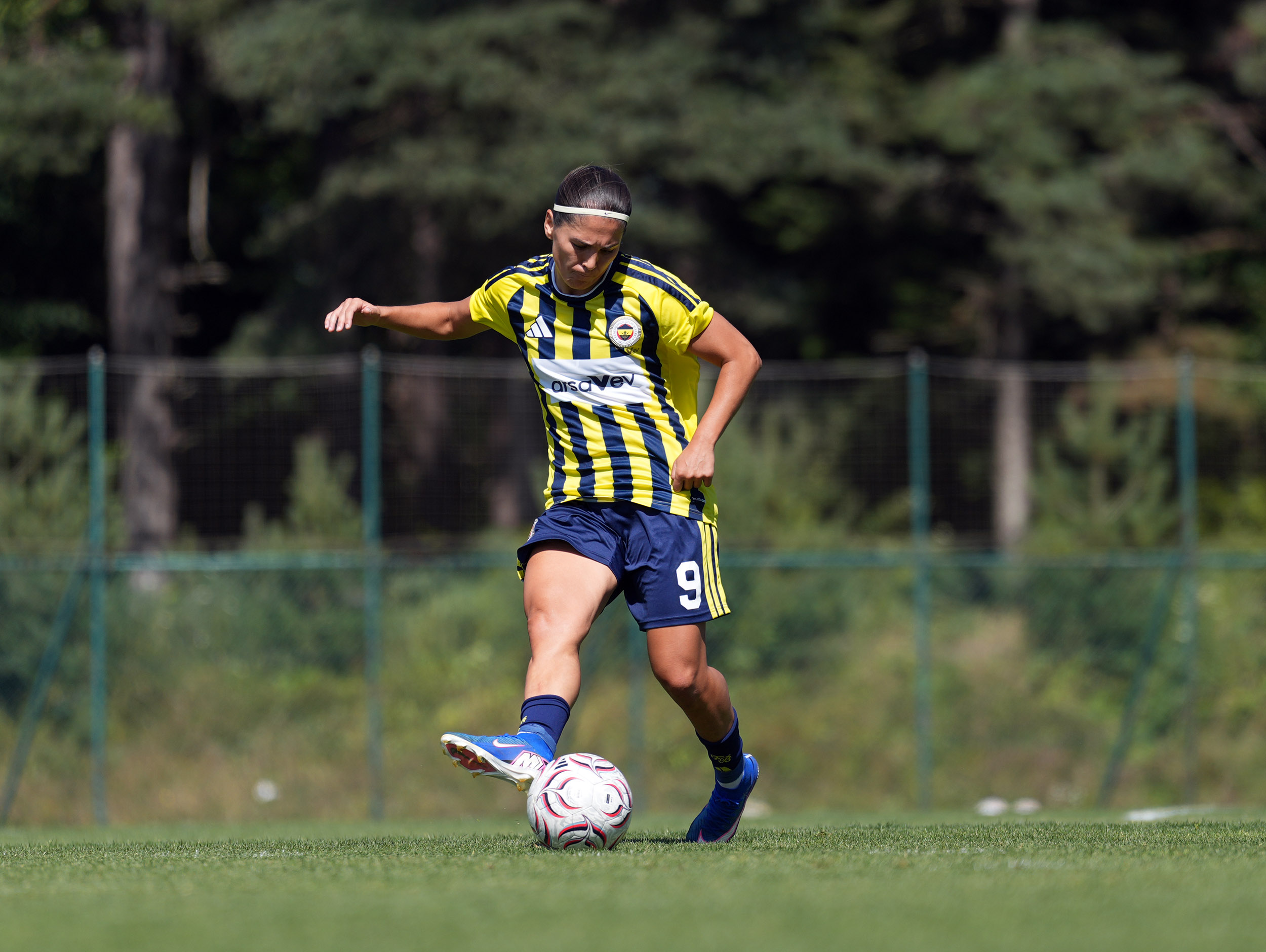 Fenerbahçe arsaVev 4-2 Ludogorets