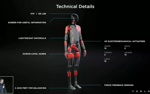Tesla Bot