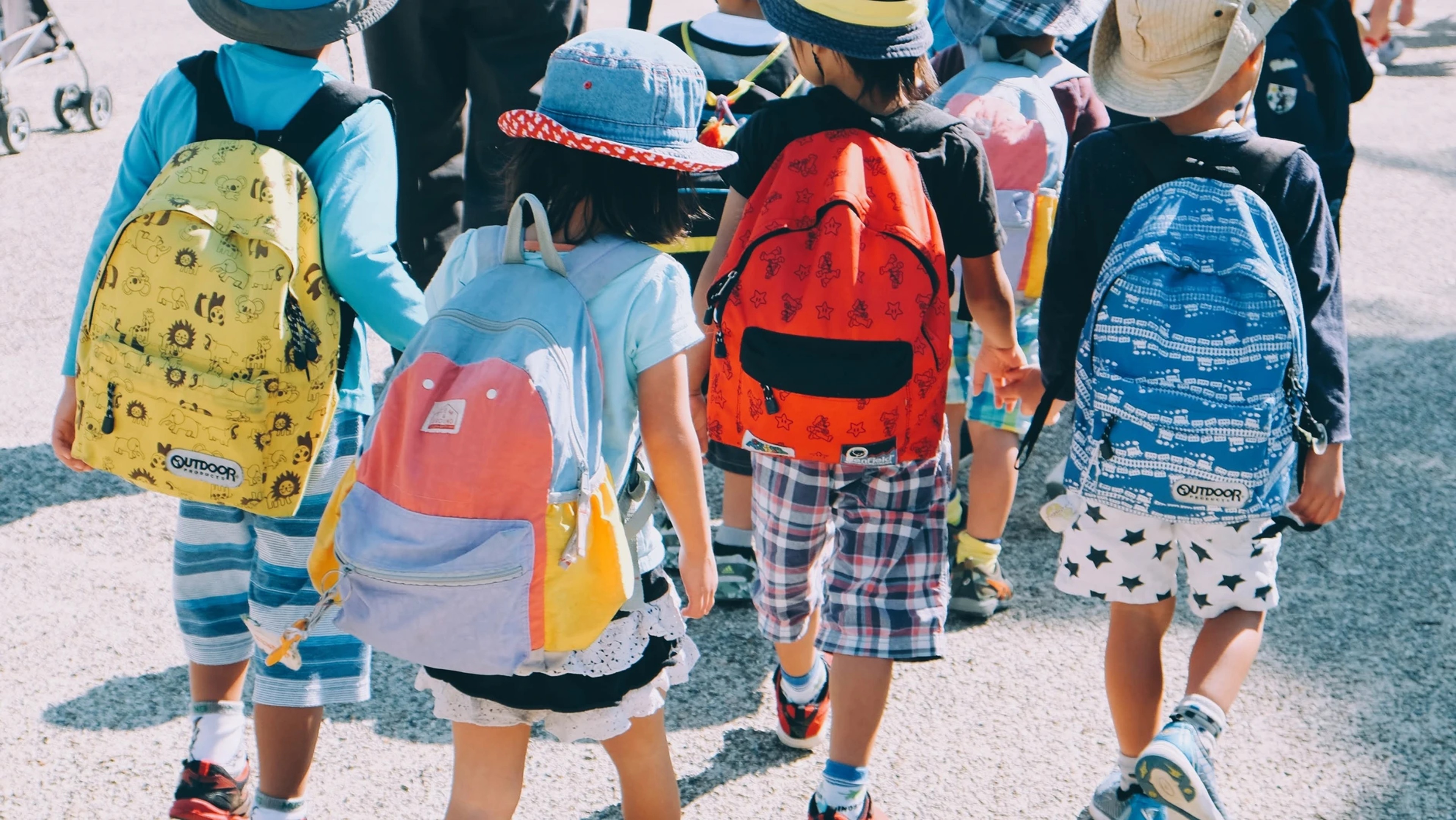 Energize Your Back-to-School Journey with Fledge