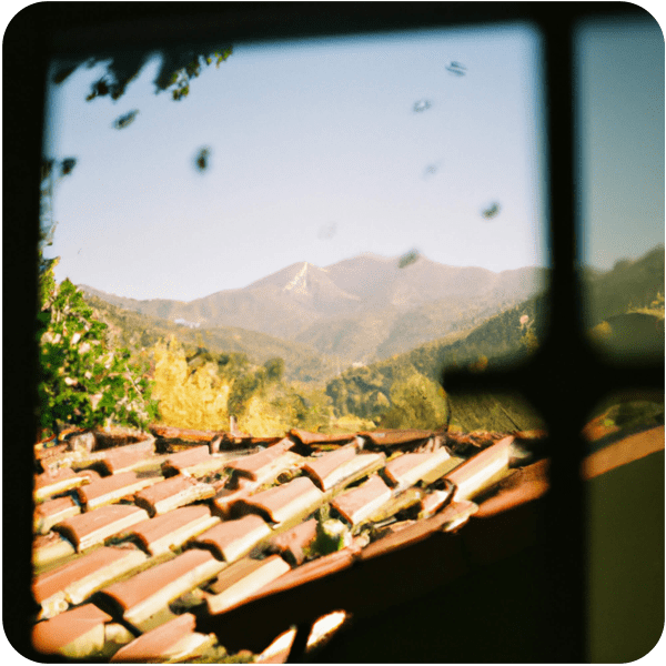 View through a window of beautiful Topanga Canyon, California, 35mm