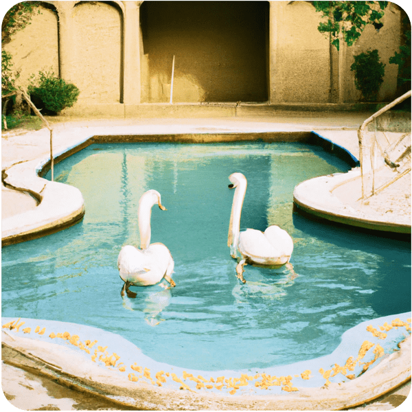 Two small swimming pools in Iran with two idyllic swans floating on the water, 35mm