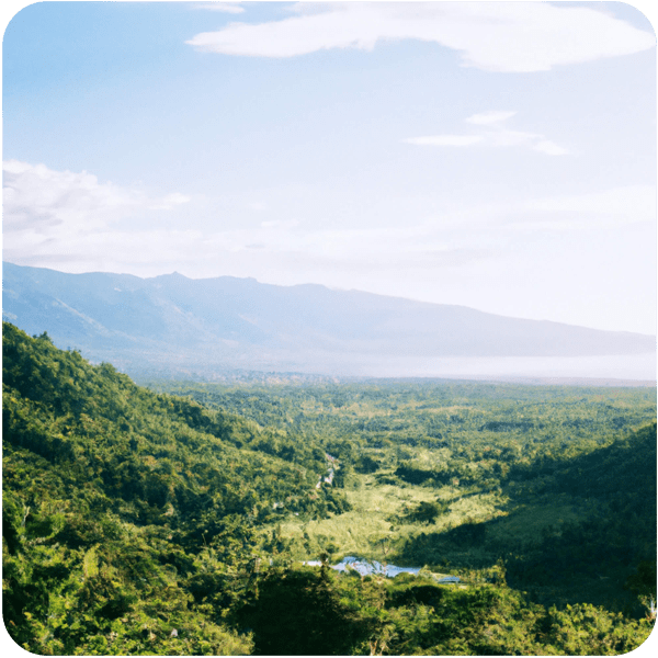 A memory of a lush valley in Jamaica with the sparkling sea on one side and huge mountains on the other
