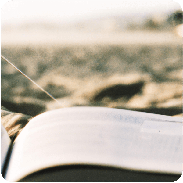 An open physics textbook laying on the beach with sand sprinkled across the pages, seen through a summer haze