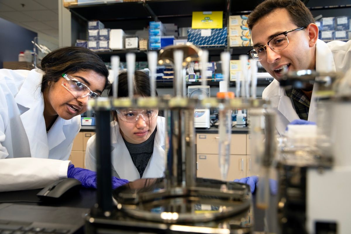 students doing research in a lab with a faculty member