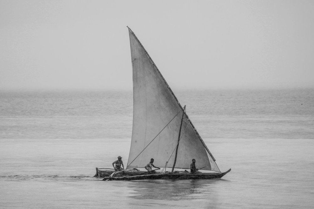 Gallery image 29