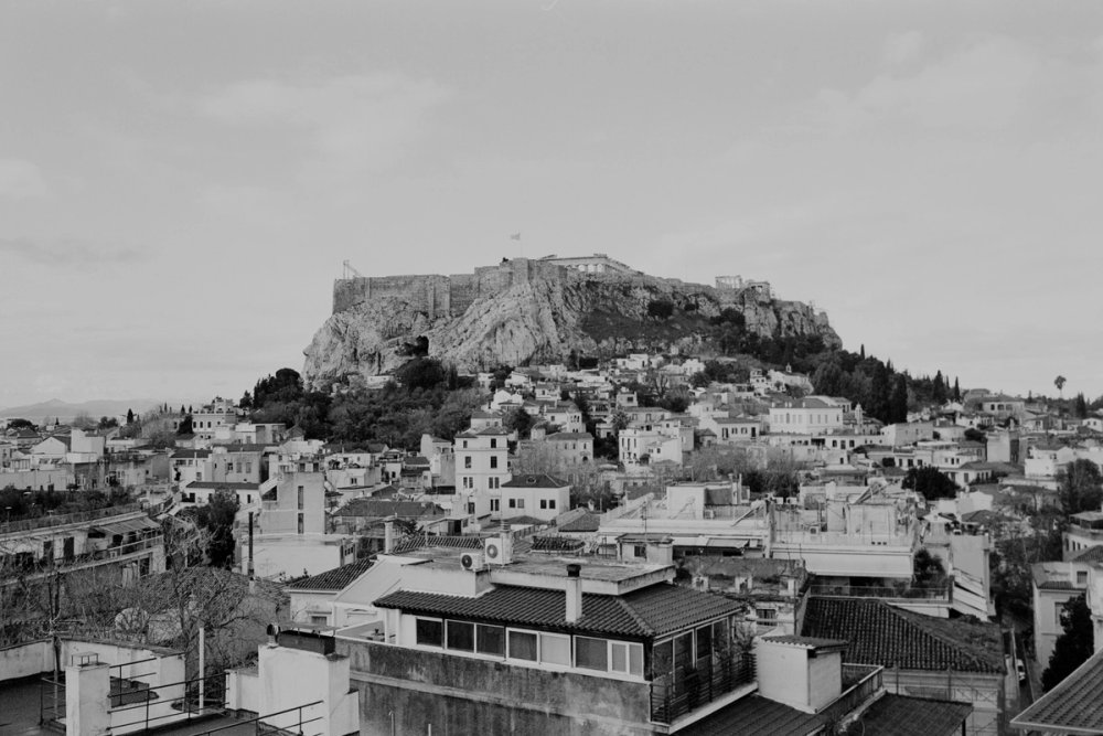 Gallery image 51