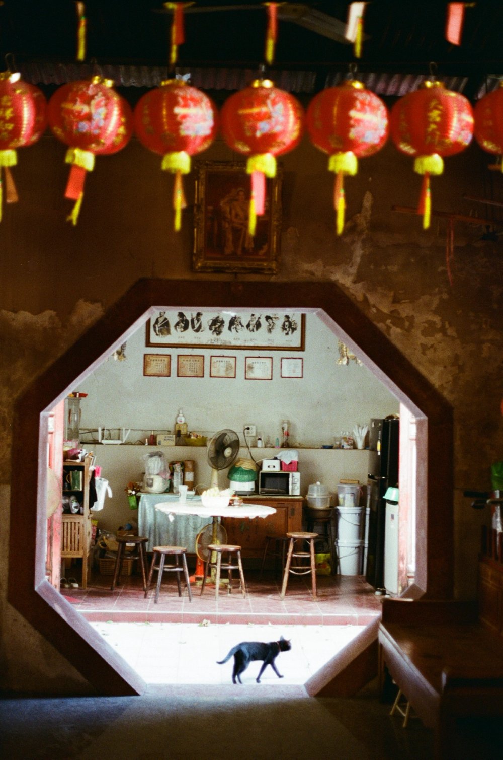 Gallery image 2