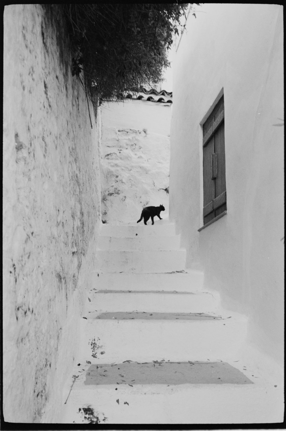 Gallery image 50