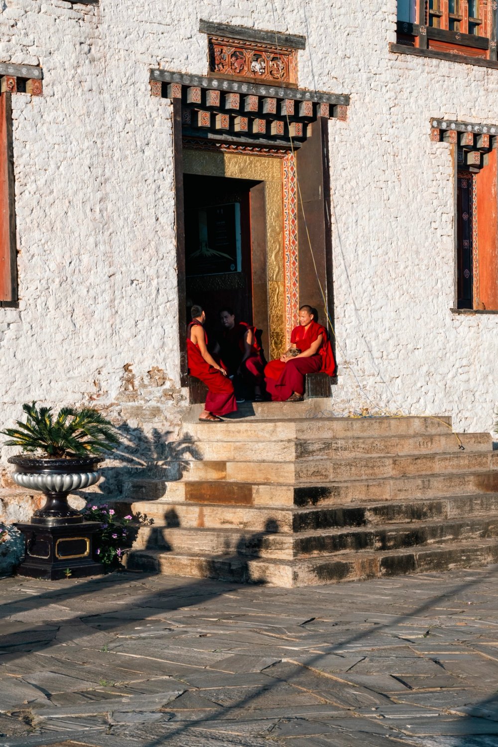 Gallery image 62