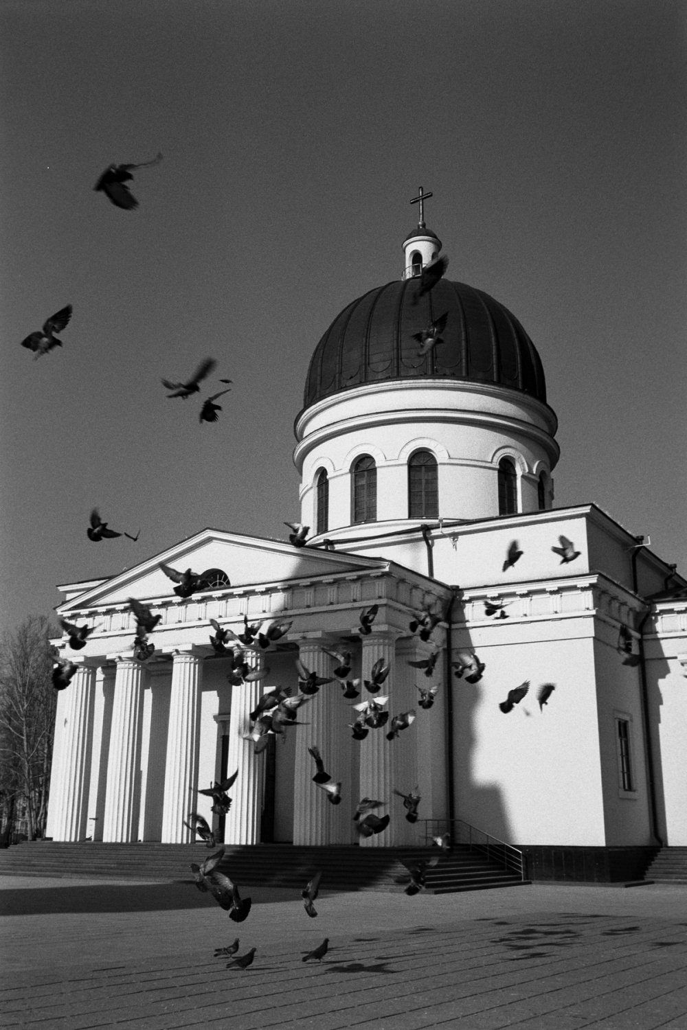 Gallery image 56