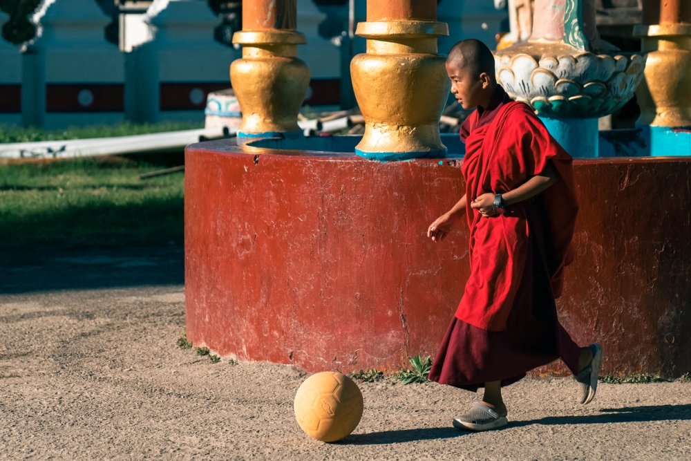 Gallery image 53