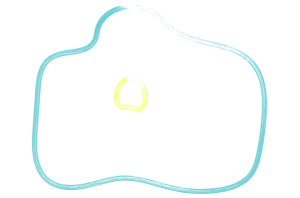 Systemic Adoptee Care (SAC)-zomerretraite (uitverkocht)