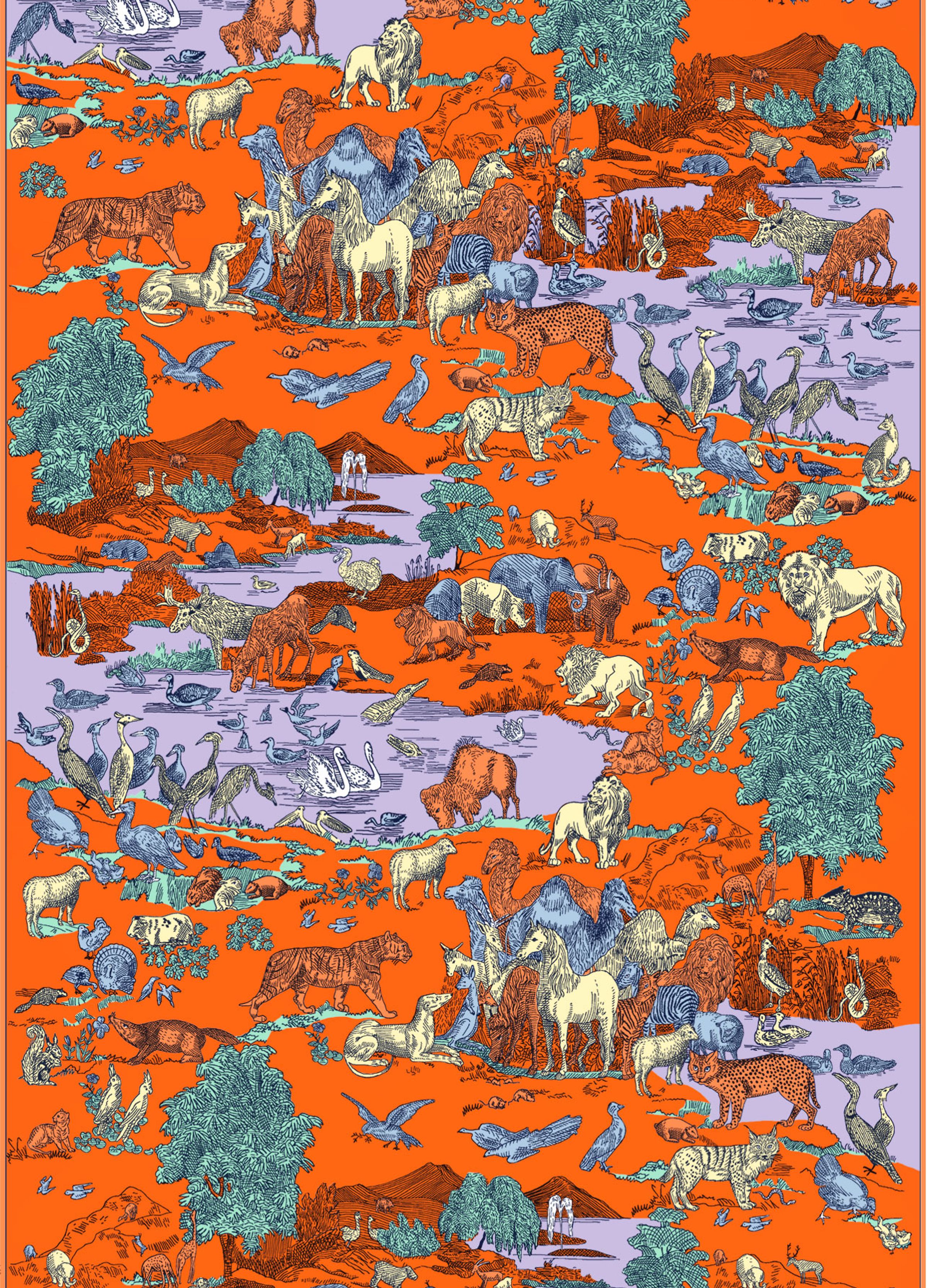 Our drawings — Inoui Editions