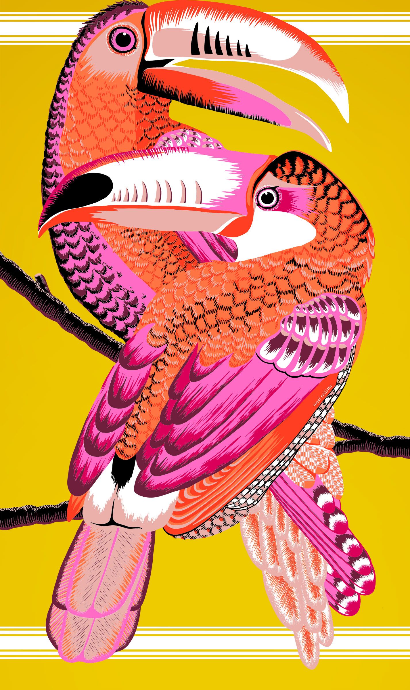 Our drawings — Inoui Editions