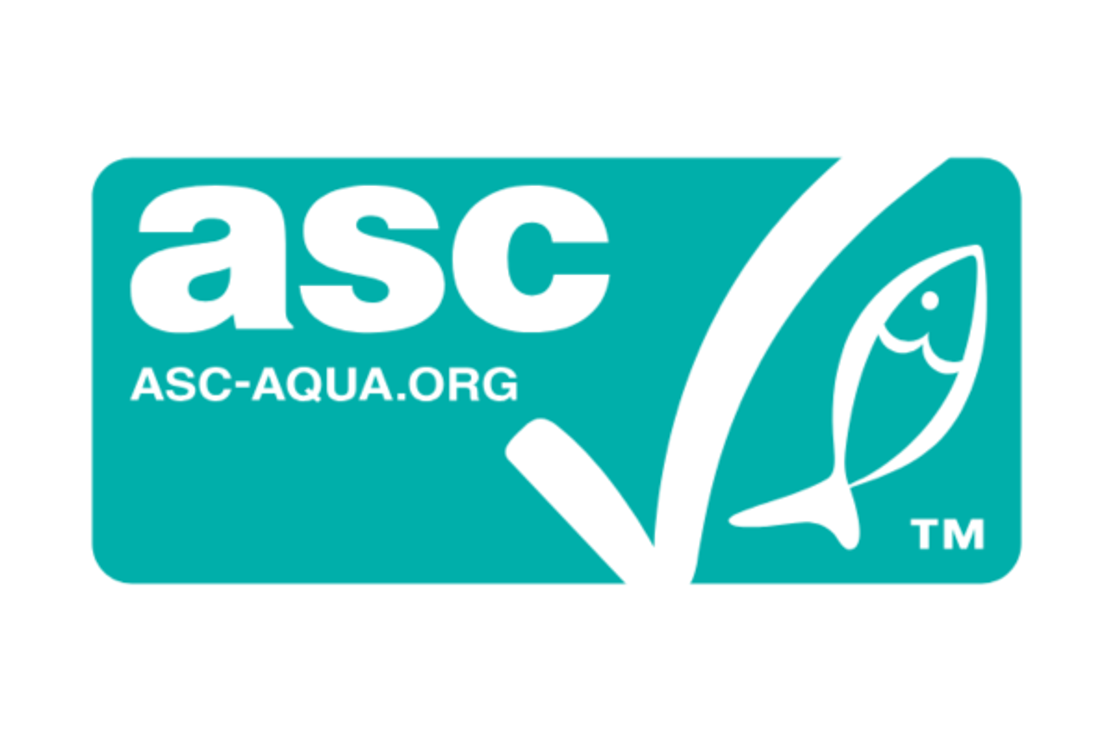 Breaking the Legacy Lock: ASC’s Finance Revolution