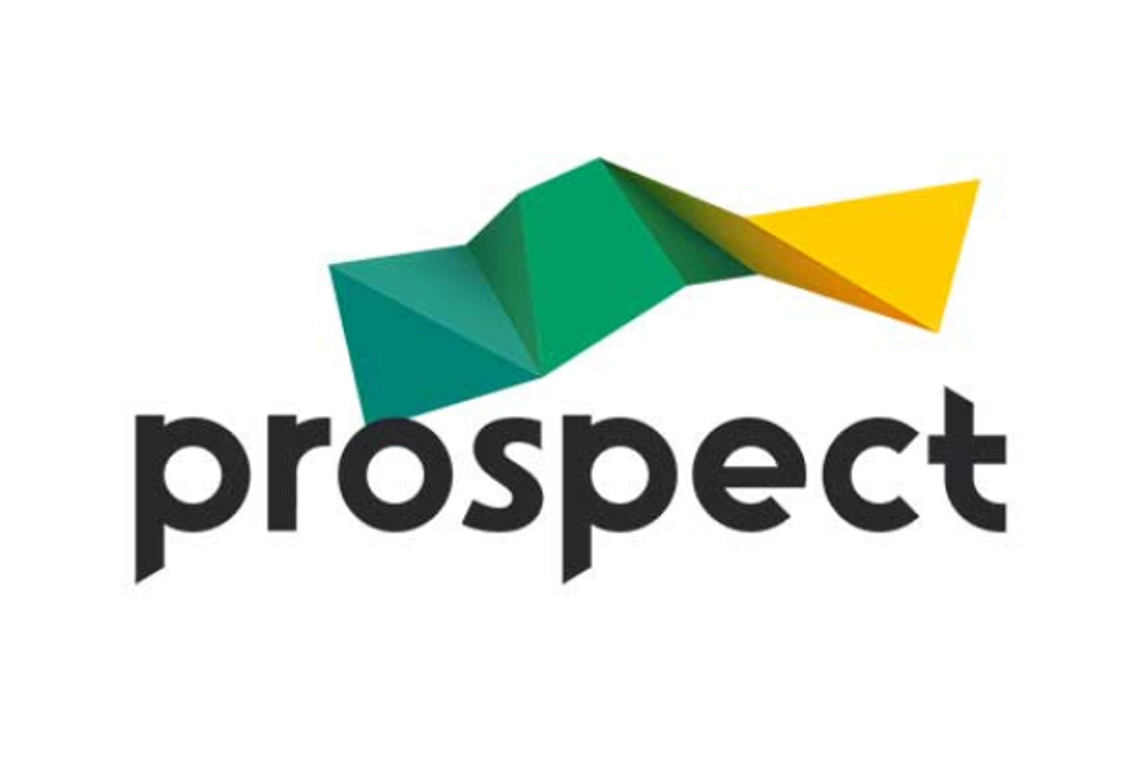Prospect: Cost and Options, Requirements Gathering, ITT, Partner Selection